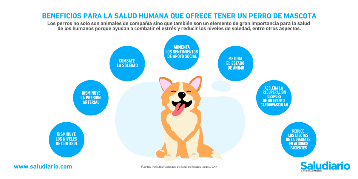 Noticia sobre perros