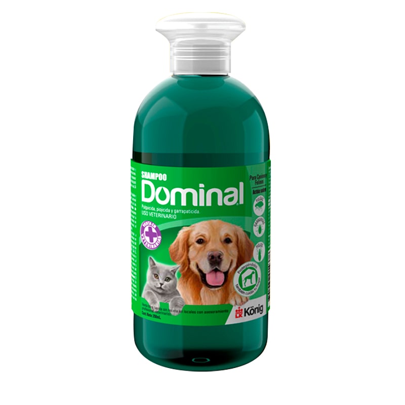 Shampoo Dominal